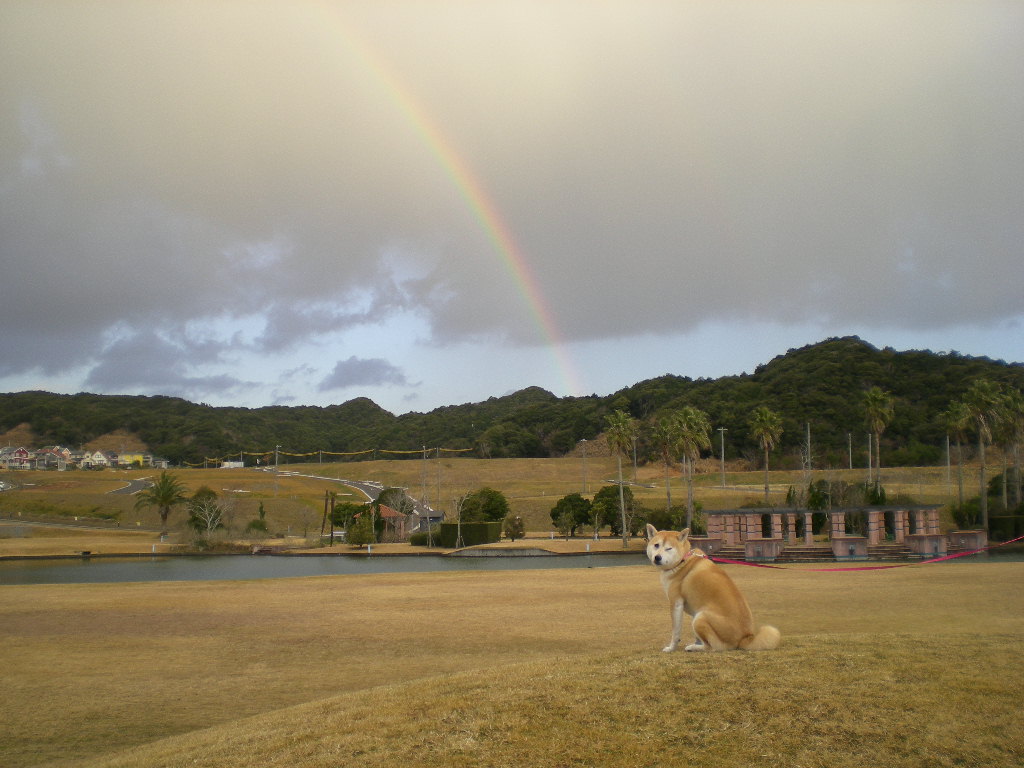 2009年1月10日(土)8時なのに虹!_f0060461_9373828.jpg