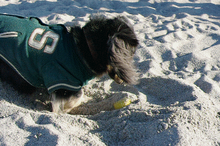 f0179061_9223653.gif