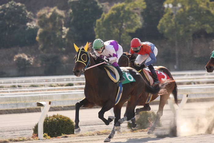 2009年1月2日（金） 高知競馬 6R_a0077663_14362254.jpg