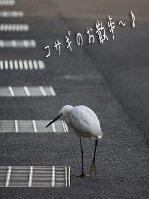 f0104569_028428.gif