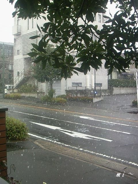 e0077875_14212476.jpg
