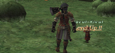 FFXI　Savul60→61_a0025776_14102384.jpg