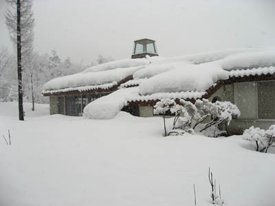 くつきの森・雪景色_f0077877_2102188.jpg