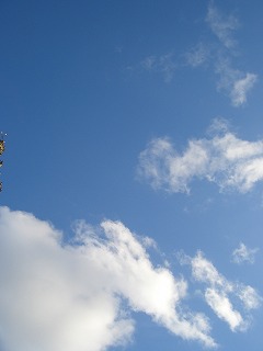 d0084580_17465811.jpg