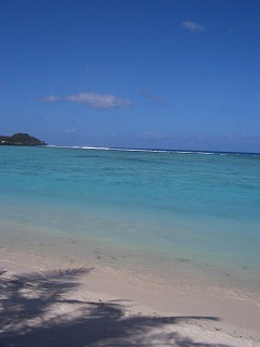 d0084580_18234769.jpg