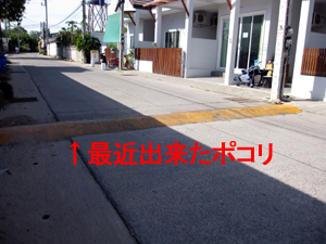 こんな所にポコリ♪_f0144385_149498.jpg