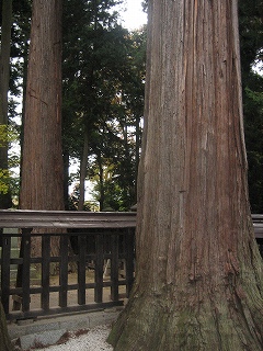 c0077697_1614918.jpg