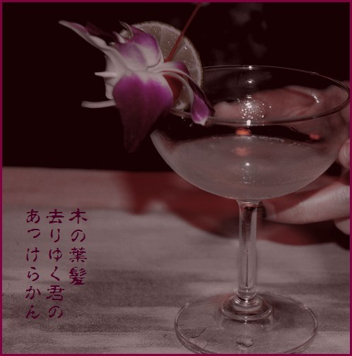 木の葉髪 俳句 Always Over The Moon 木の葉髪 俳句 Always Over The Moon