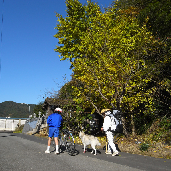 12月1日 おへんろ21日め♪ by GX100_c0049299_2113333.jpg