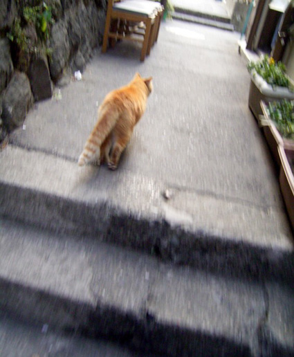 e0043700_13542744.jpg