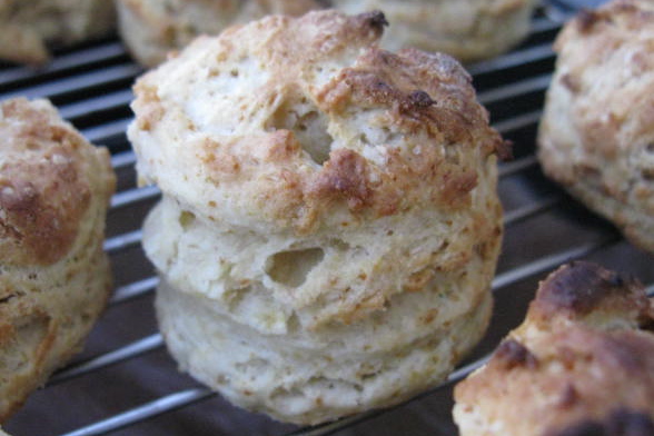 Scone_e0149801_10275949.jpg