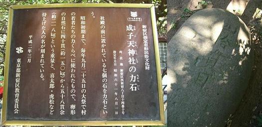 a0057402_03599.jpg
