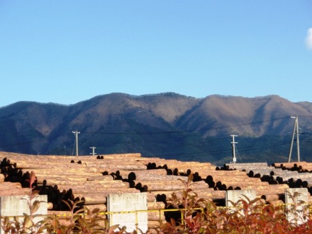 平成21年度大船渡市新年交賀会_e0075103_9311037.jpg