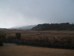 f0048405_8462188.jpg