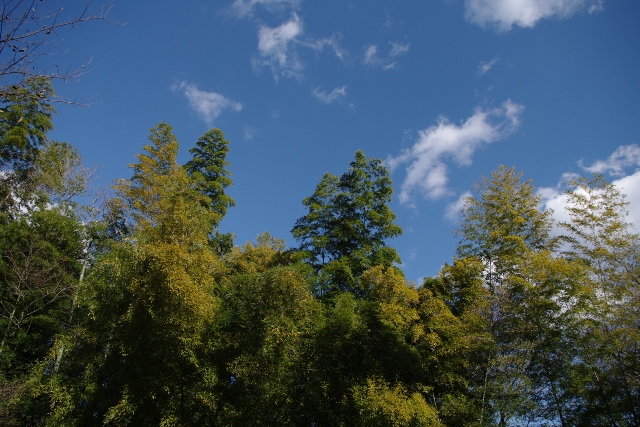 a0107209_1528165.jpg