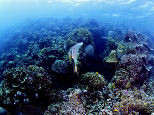 f0171223_1925536.jpg