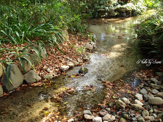 c0157624_14174326.jpg