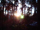 b0043525_17521442.jpg
