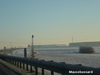 生死の岐路_d0144726_20245680.jpg