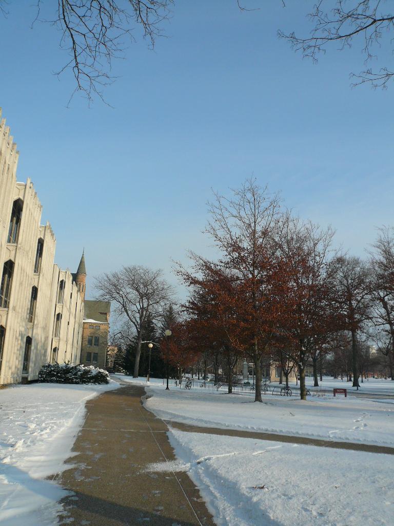 b0157430_77414.jpg
