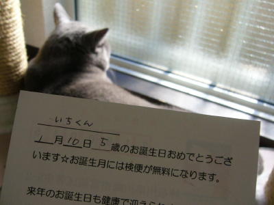 30代の休日_d0152937_16435346.jpg