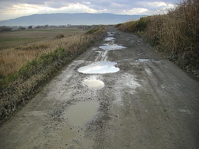 b0088444_2204060.jpg