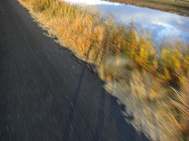 b0088444_2261810.jpg