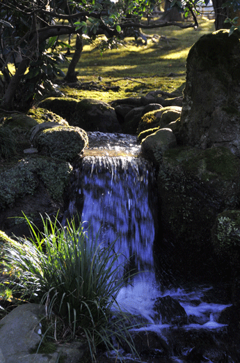 兼六園,09.1(Ⅳ)_c0093046_9374428.gif