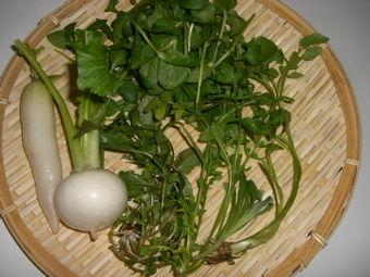 e0130657_282861.jpg