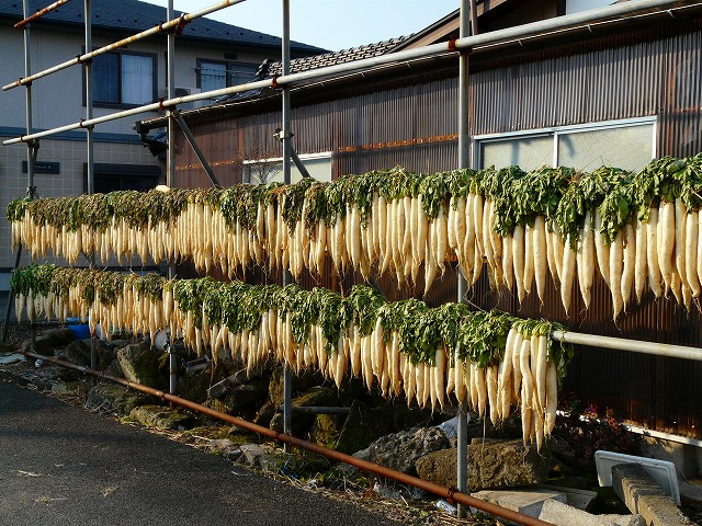 d0041158_1661189.jpg