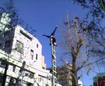 b0105259_22425166.jpg