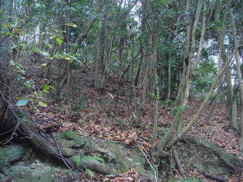 c0108460_13563358.jpg