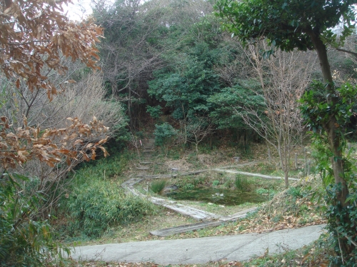 c0108460_13565774.jpg