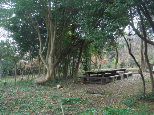 c0108460_13572968.jpg