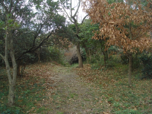 c0108460_13581446.jpg
