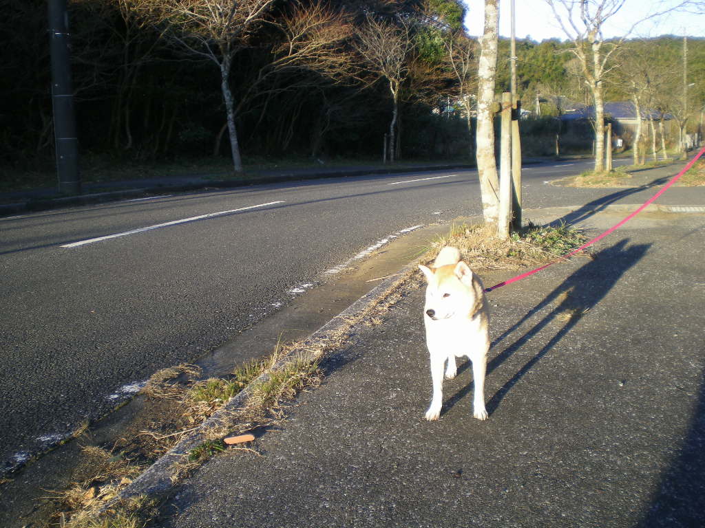 ２００９年１月１１日（日）寒くっても・・・・・_f0060461_17212941.jpg