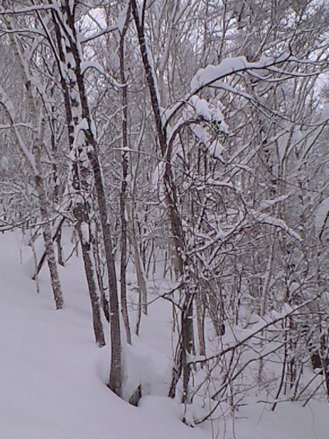 今日はルスツ②_c0151965_23211920.jpg