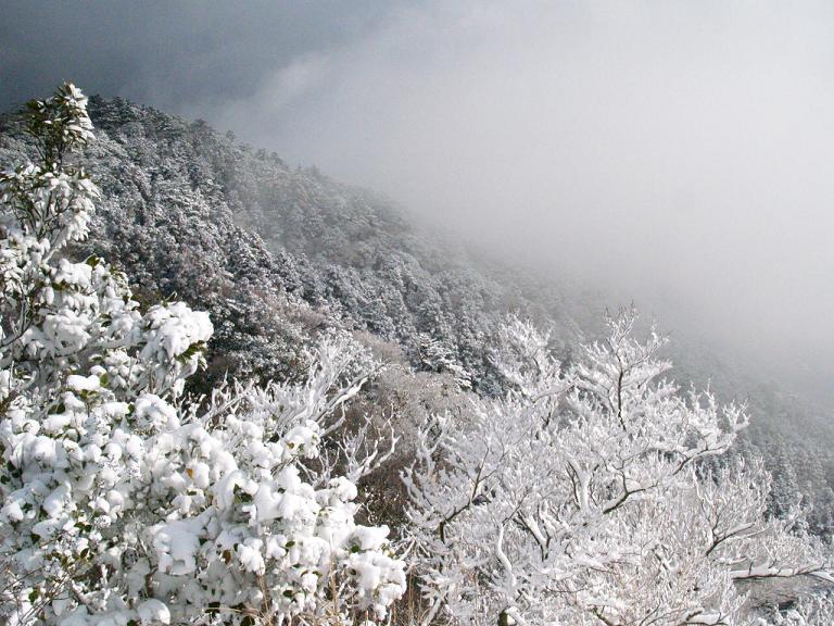 雪の宝満山_f0016066_2373168.jpg