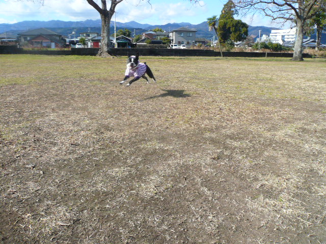 d0120282_014141.jpg