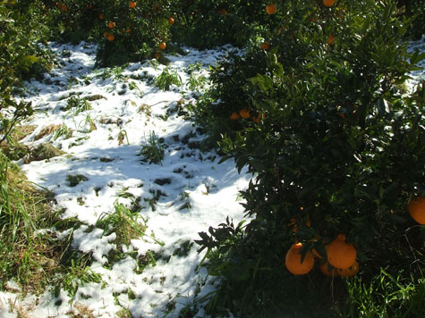 雪 _d0141987_18264329.jpg