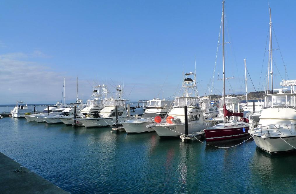 f0068687_023794.jpg