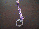c0078592_1239411.gif