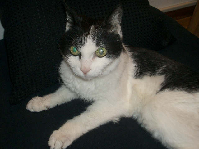 e0159192_1283645.jpg