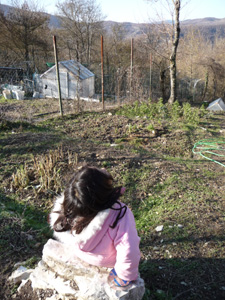 1月の畑~冬の凍結と鳥対策_f0106597_2291576.jpg