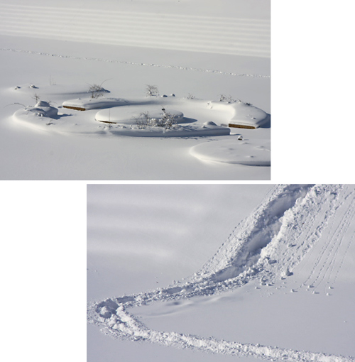 ある寒い日、おお雪の後の青空の下を歩く_f0003598_2012866.jpg