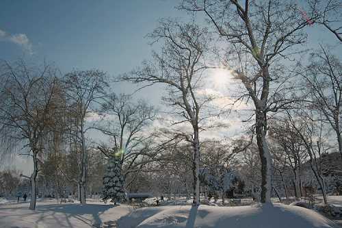 ある寒い日、おお雪の後の青空の下を歩く_f0003598_20142610.jpg