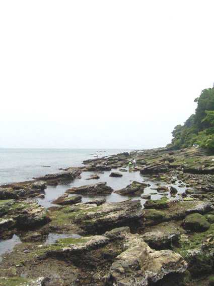 e0043700_186730.jpg