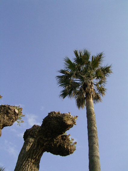 e0043700_20301251.jpg