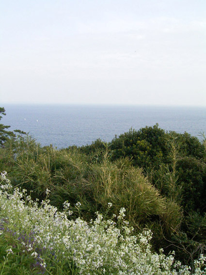 e0043700_20315040.jpg