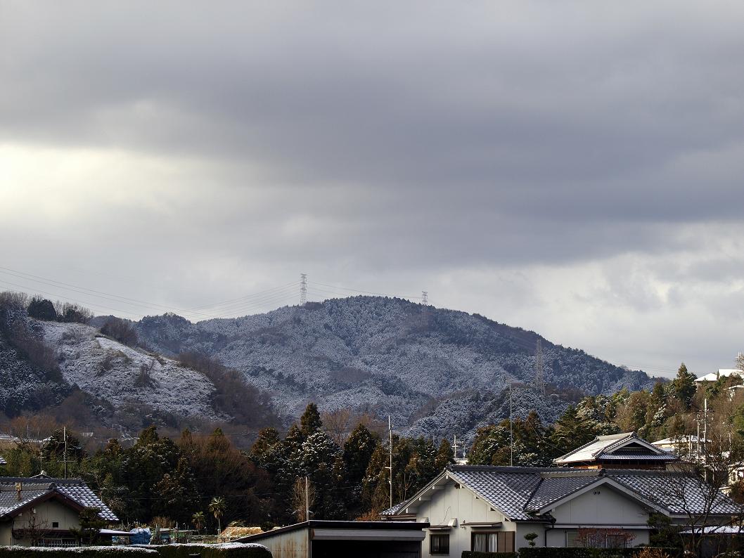 冬の散歩道②_b0138101_22281995.jpg